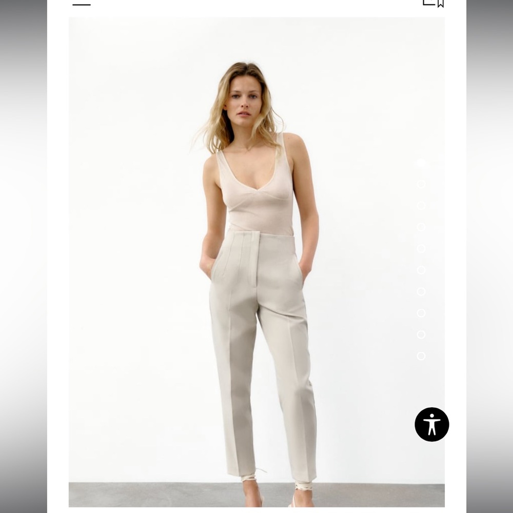 Zara High Waisted Pants